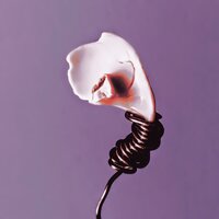 Come Haunt Me - Erick McNerney & Nekane