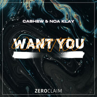 Want You - CASHEW & Noa Klay