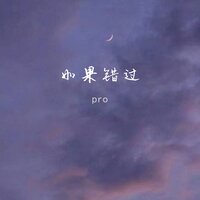 如果错过 - Pro