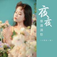 夜夜借酒消愁 - 小西瓜一枚