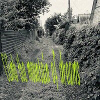 Climb the mountain of dreams - Kaleow