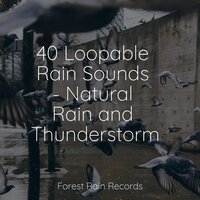 Jungle, Evening, Quiet, Birds - Chillout Lounge & Nature Sound Collection & Classical Lullabies