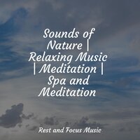 Mystical Forest - Tibetan Singing Bowls for Relaxation & Tranquility Spa Universe & Ambient Music Therapy