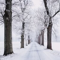 Journey to the North Pole - Navidad, Christmas Carols, Happy Christmas Music & Christmas Carols & Happy Christmas Music & Navidad