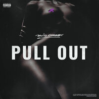 Pull Out - David Correy