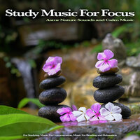 Focus and Reading Music - Studying Music & Music for Focus and Concentration & Study Music for Focus