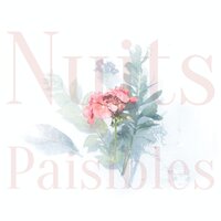 Pure Binaural - Musique Douce Academy & Detente Spa Musique Collection & Spa Musique Massage