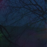 about yourself - plenka