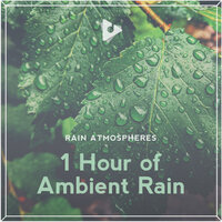 Brain Hydration - Rain Atmospheres & Rain Sounds