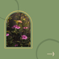 Lonely Ambiance for Busy Weekdays - Restaurante de Musica de Lujo