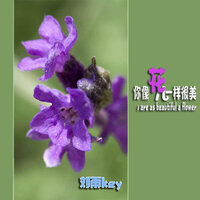 你像花儿一样很美 - 刘雨key