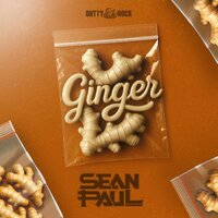 Ginger - Sean Paul