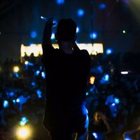 Pirata sem tesouro - Lazy