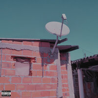 Laranja e Amarelo - ZEN