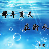 那年夏天在衡水 - 王觉
