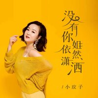 没有你姐依然潇洒 - 小玟子