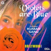 Nahin Yeh Ho - Kumar Sanu & Mahalaxmi