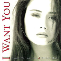 Knock Out - Lynda Trang Đài