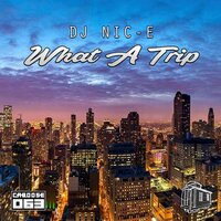 What A Trip - DJ Nic-E