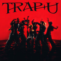 TRAP U - Dice