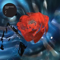 End - Teengirl Fantasy