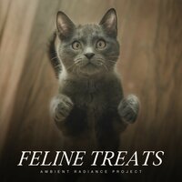 Midnight Server Meditation - Music For Cats Peace