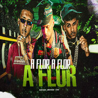 A Flor a Flor a Flor - CL no Beat & malvado do recife & lukinhas posturado