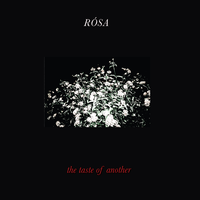 Don't Force It - Rosa