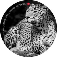 Crank - Boriqua Tribez & Ben Long