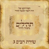 Hodu Ladonay Ki Tov - David D'Or & Tomer Adaddi