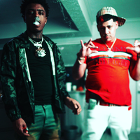 Birds - 2RED & SSG Splurge