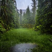 Белый Шум Звук Дождя Шум Дождя Детские Колыбельные Сказки Для Сна 2 (Шум Дождя) - Александр Вольский & Звуки сна Окружающие Шумы