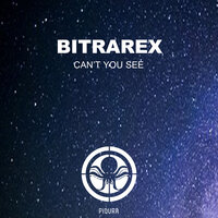 Can't You See - Bitrarex