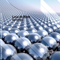 Synergy - Luca De Maas