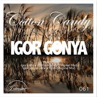 Black Tulip - Igor Gonya