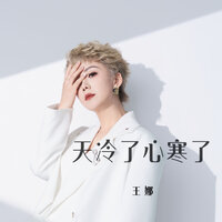 天冷了心寒了 - 王娜