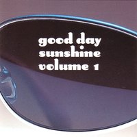 Instant Sunshine - David Arch