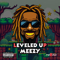 Leveled Up - Meezy