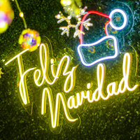 Lo Stelliere - La Band dei Monelli