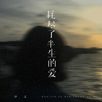 耗尽了半生的爱 - 尹又