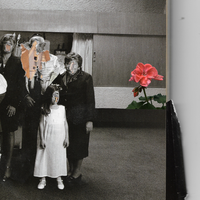 Reflejos Distorsionados - Ellissir & DIVIDE