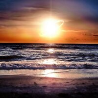 No Compliant$ - Pink Coffee