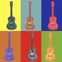 Drivers License - Covers Unplugged