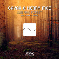 Sleeping Forest - Gayax & Henry Moe