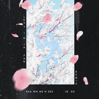 Lost In Japan - Shawn Mendes & Zedd