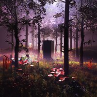 MAYBACH - August & KOUT