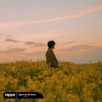 Special Drems - Dieez