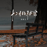 十二月的秘密 - 陈默之