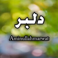 Zhoond Mae Dasy Da Dilbar Sara Arhegi - Amin Ullah Marwat