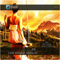 Look Without Seeing - JFR